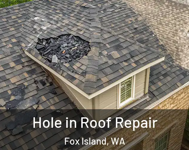  Hole in Roof Repair Fox Island, WA