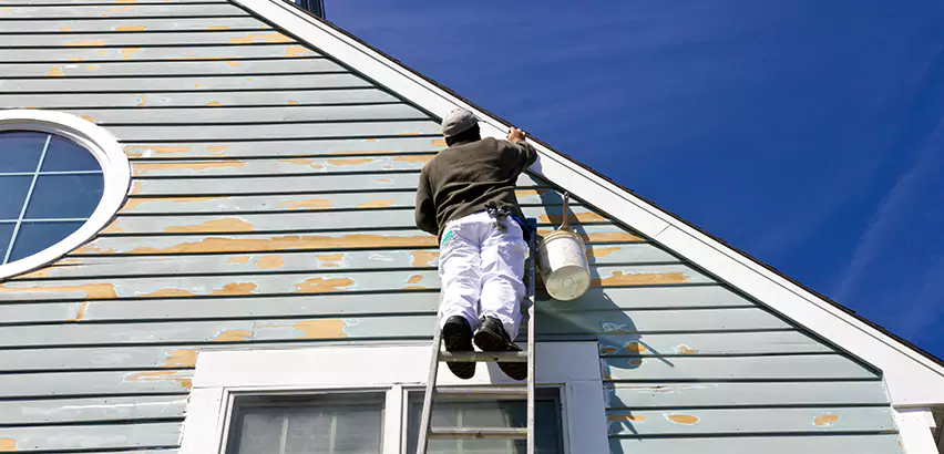 Professional Roof and Siding Repair Services in Fox Island, WA