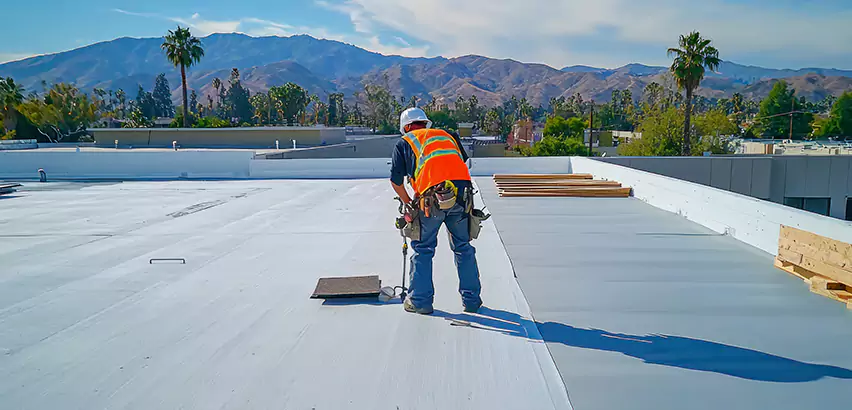 Professional Roof Coating Services in Fox Island, WA