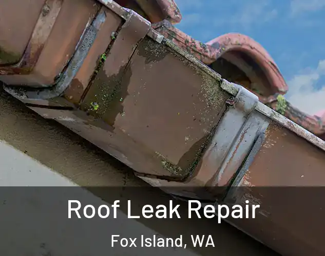  Roof Leak Repair Fox Island, WA