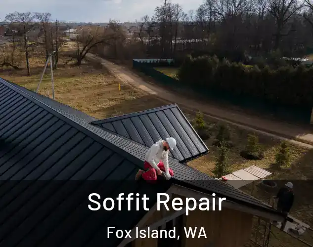  Soffit Repair Fox Island, WA
